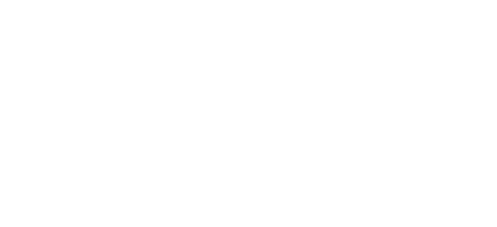 Asset 2NM